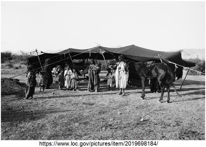 Bedouin tent